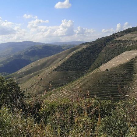 Douro Valley - Casa Da Praca Ervedosa do Douro Luaran gambar